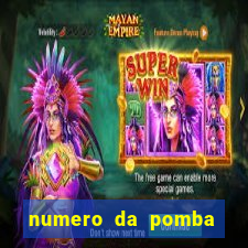 numero da pomba jogo do bicho